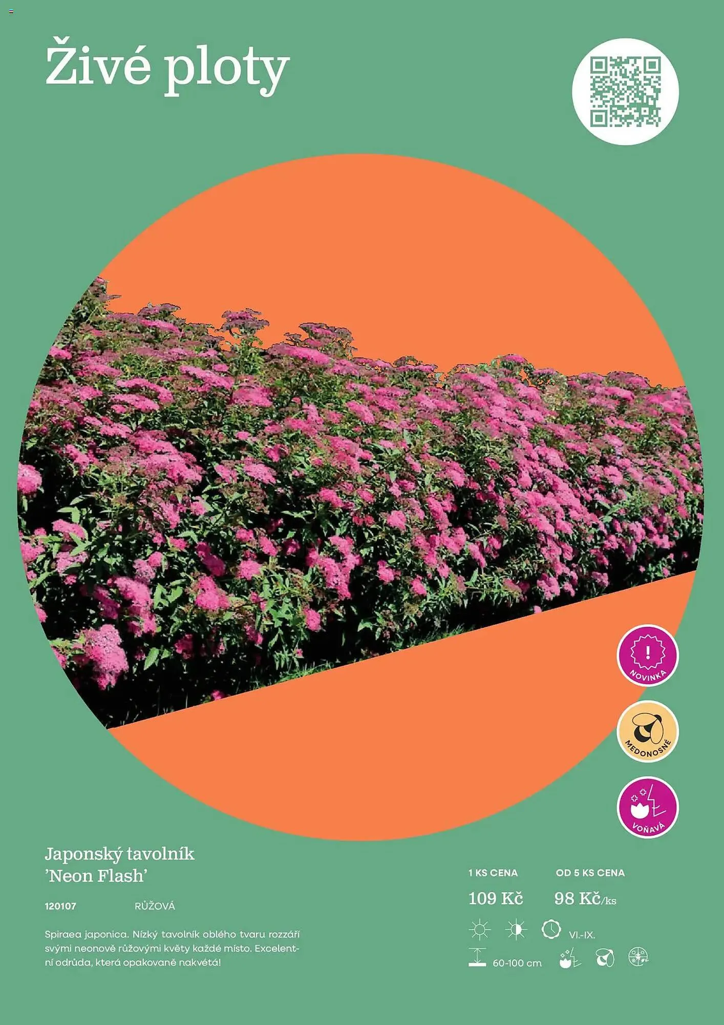 Starkl katalog - 25. února 31. prosince 2026 - Page 49