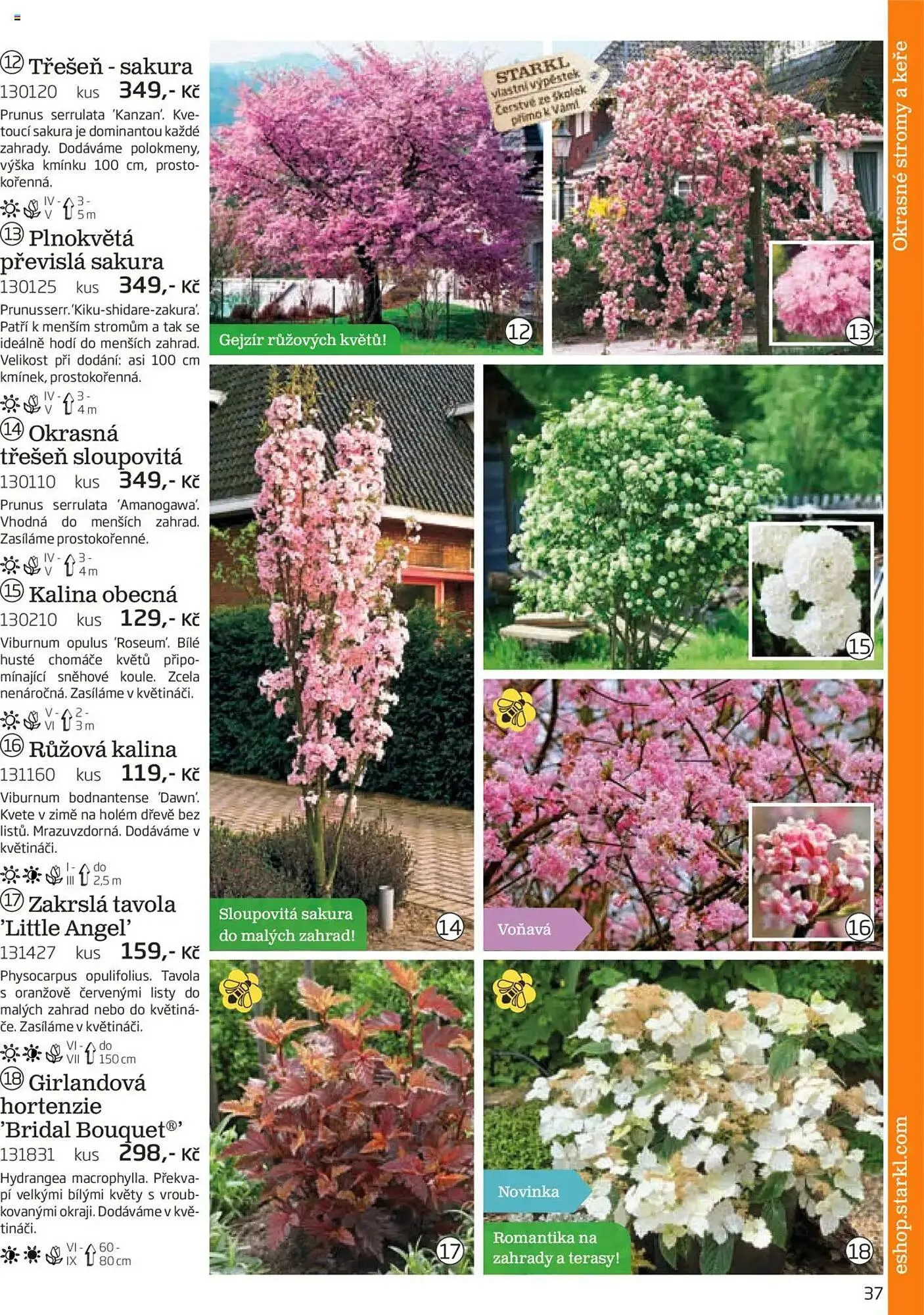 Starkl leták - 1. srpna 30. listopadu 2025 - Page 37