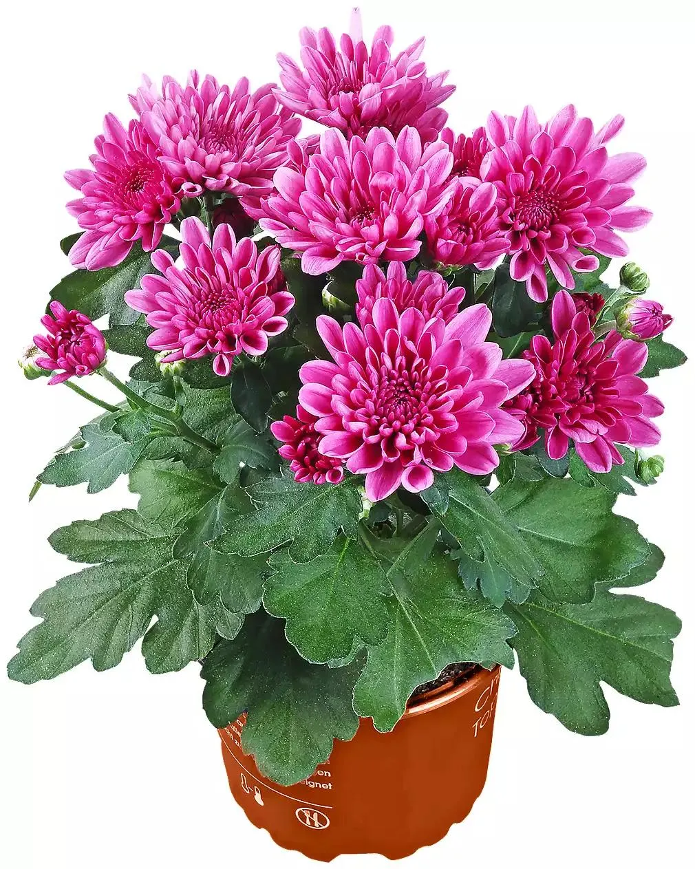 Než budete pokračovat: Stručně ke zpracování Vašich údajů