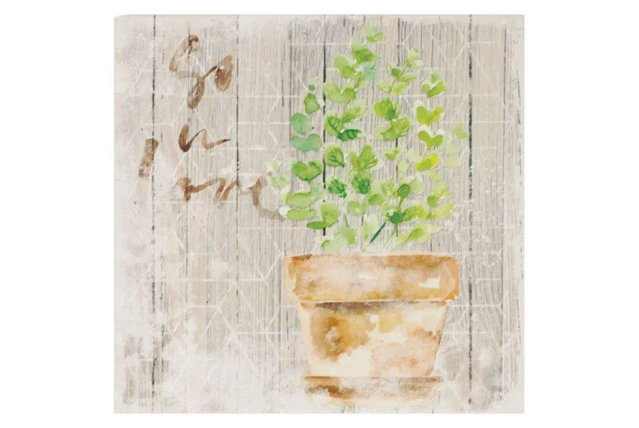 Obraz plátěný v rámečku OBX1066