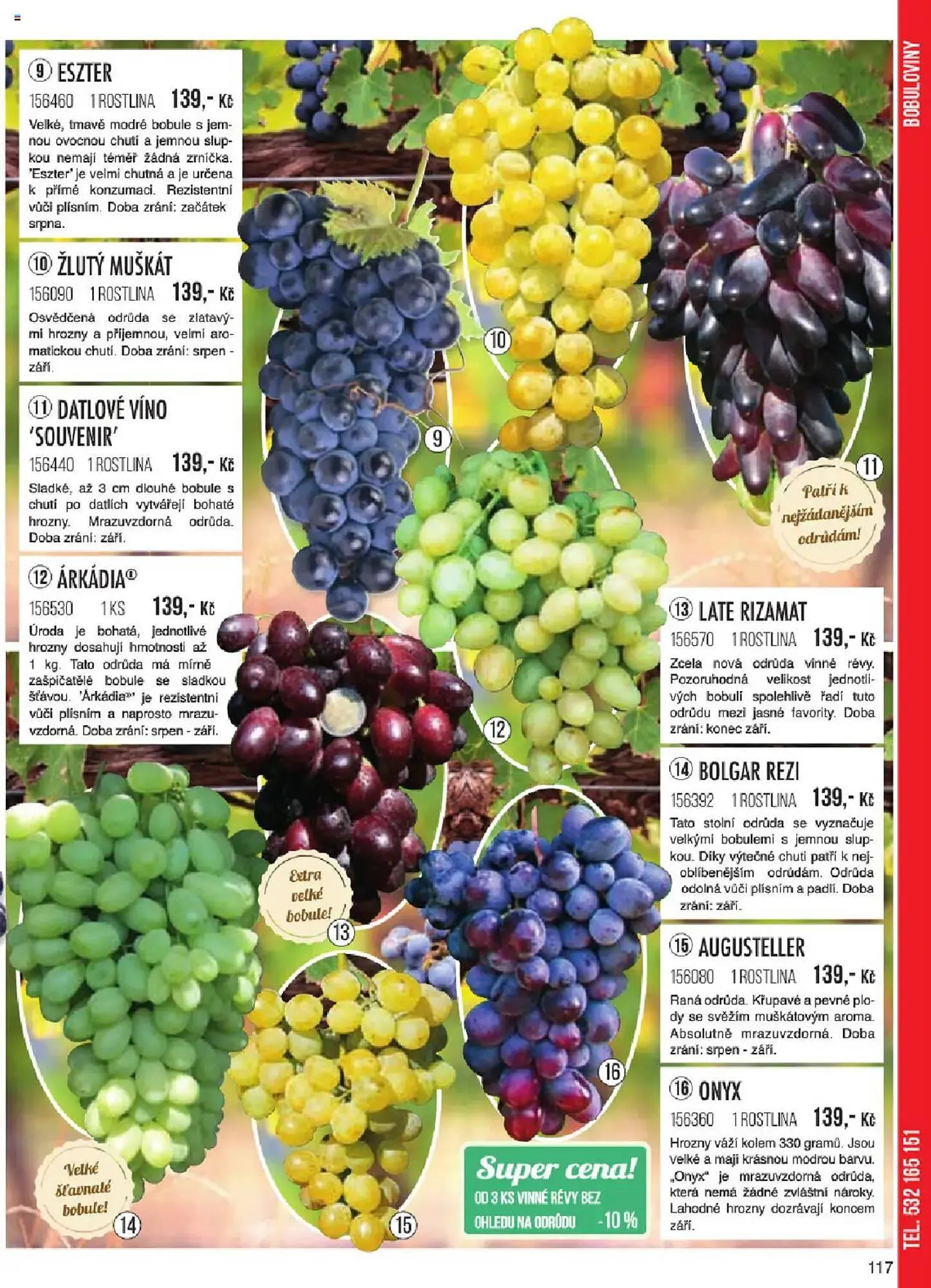 Starkl leták - 6. ledna 31. května 2025 - Page 117