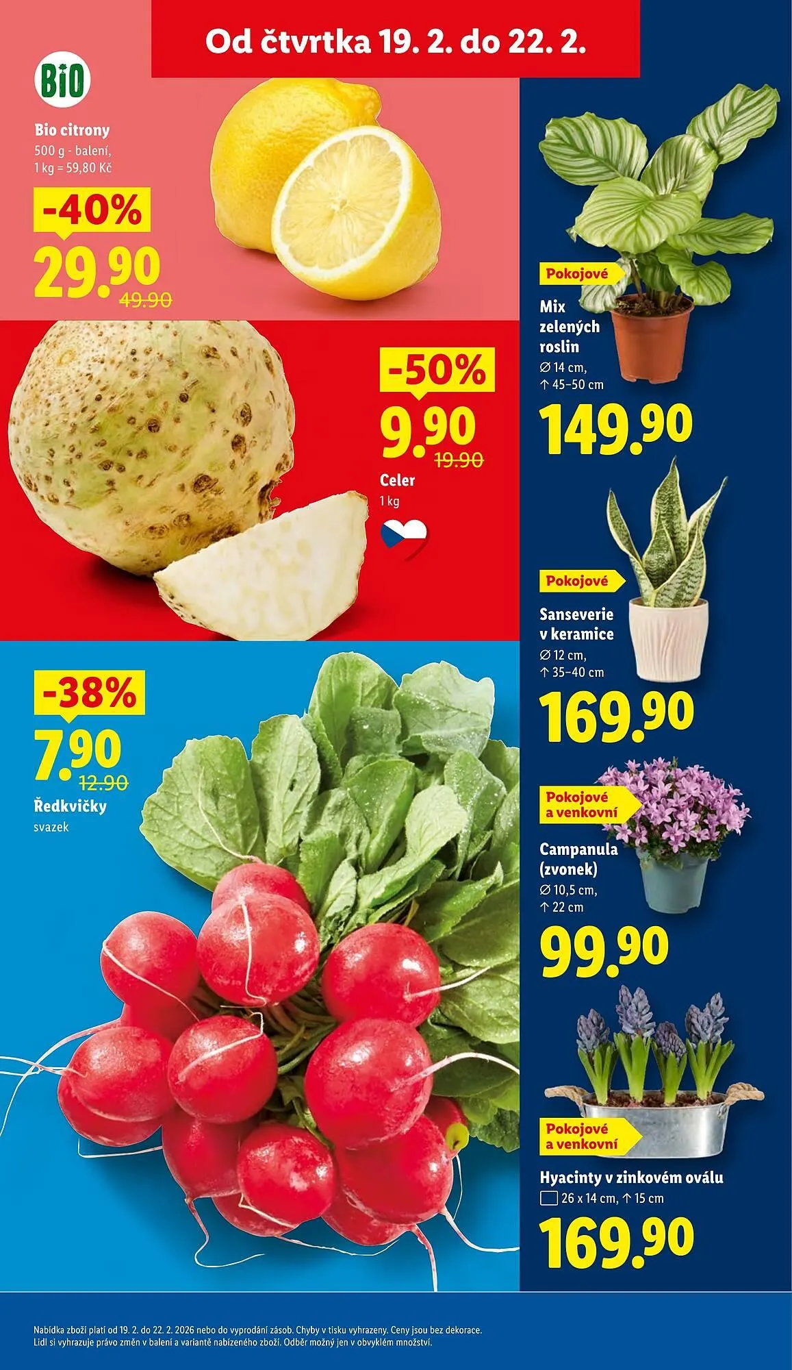 Lidl leták - 19. února 22. února 2026 - Page 9