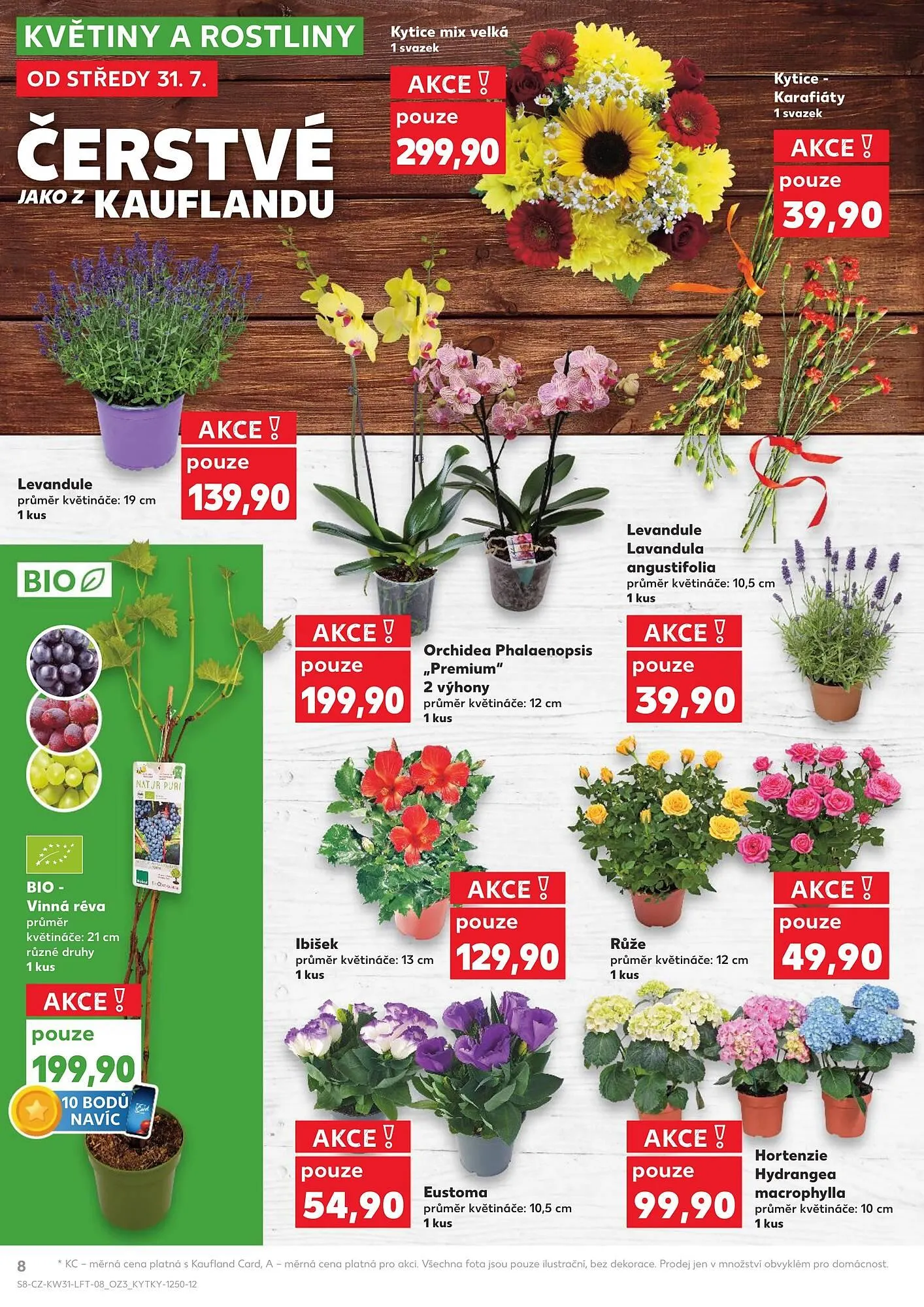 Kaufland leták - 31. července 6. srpna 2024 - Page 8