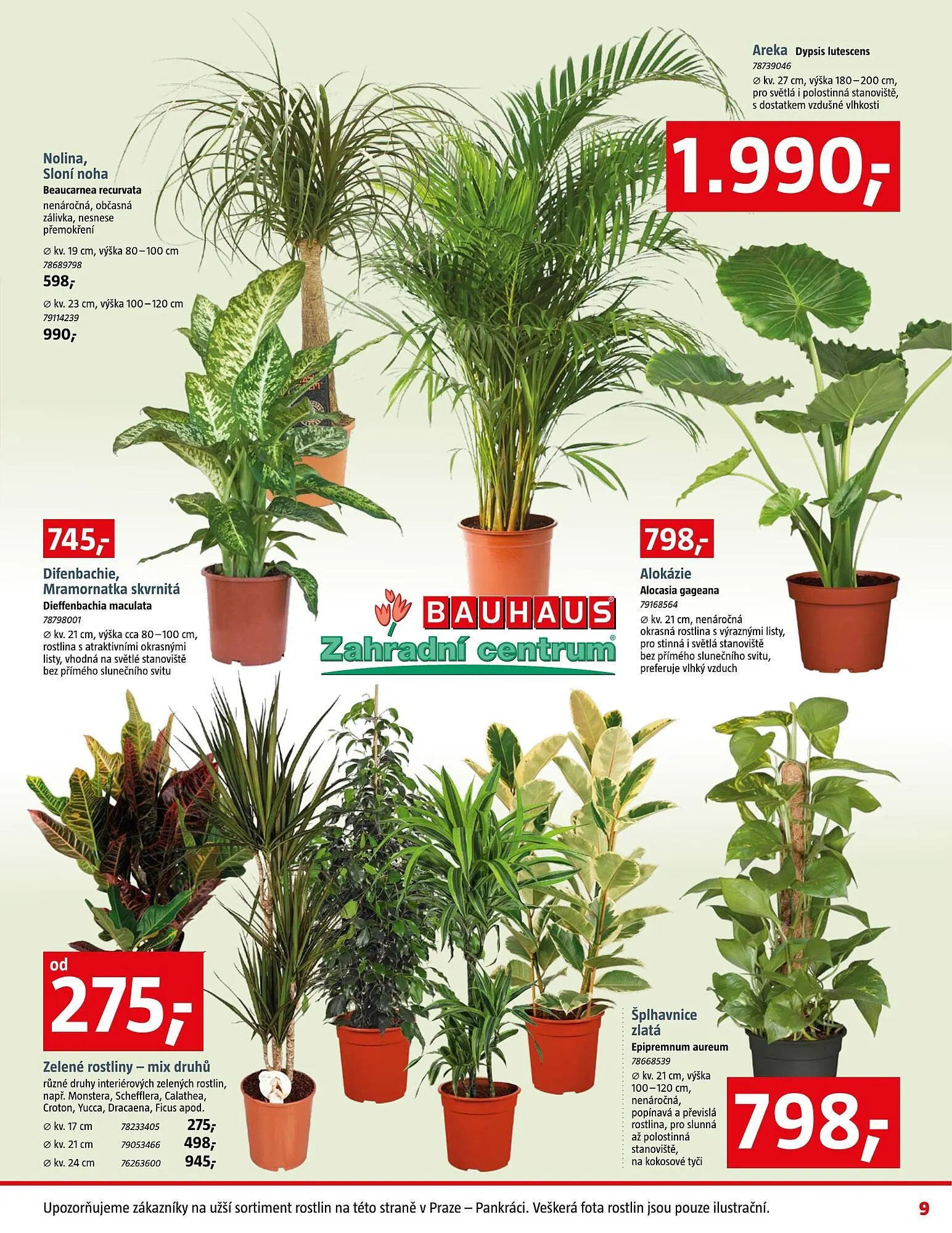 Bauhaus leták - 9. ledna 5. února 2026 - Page 9