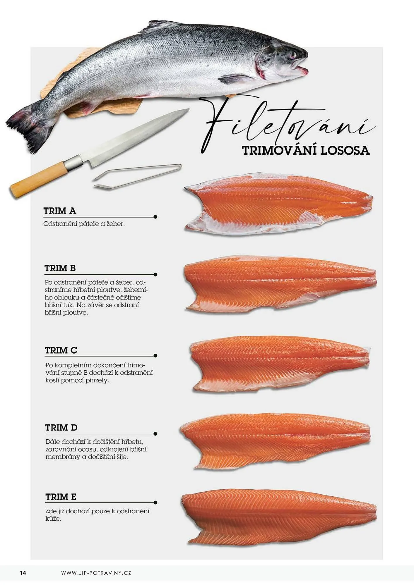 Jip RYBY leták - 22. května 29. prosince 2023 - Page 14