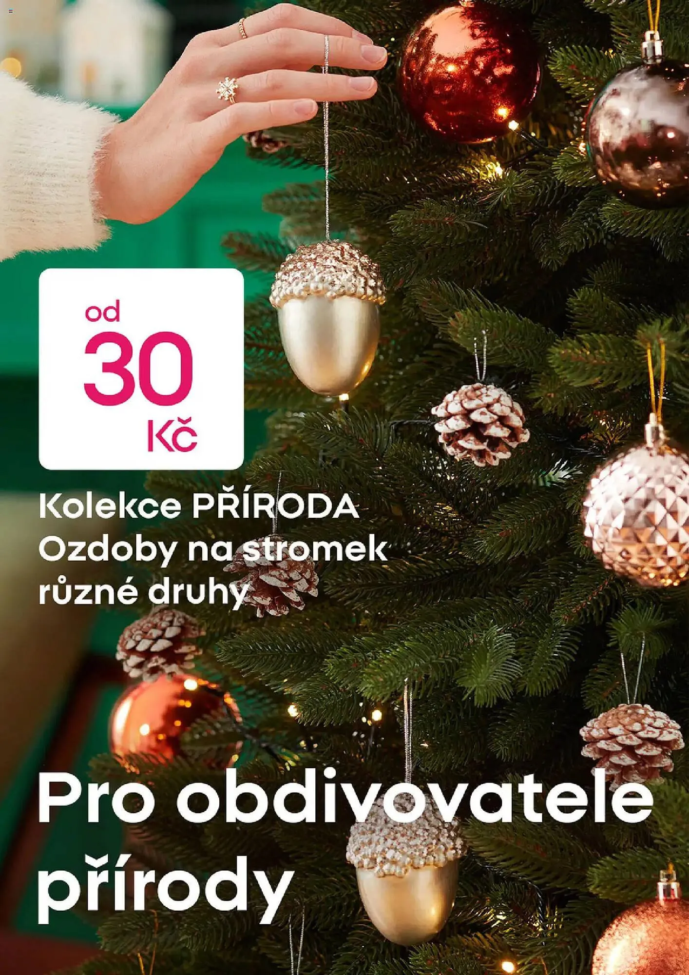 Pepco leták - 6. listopadu 12. listopadu 2025 - Page 5