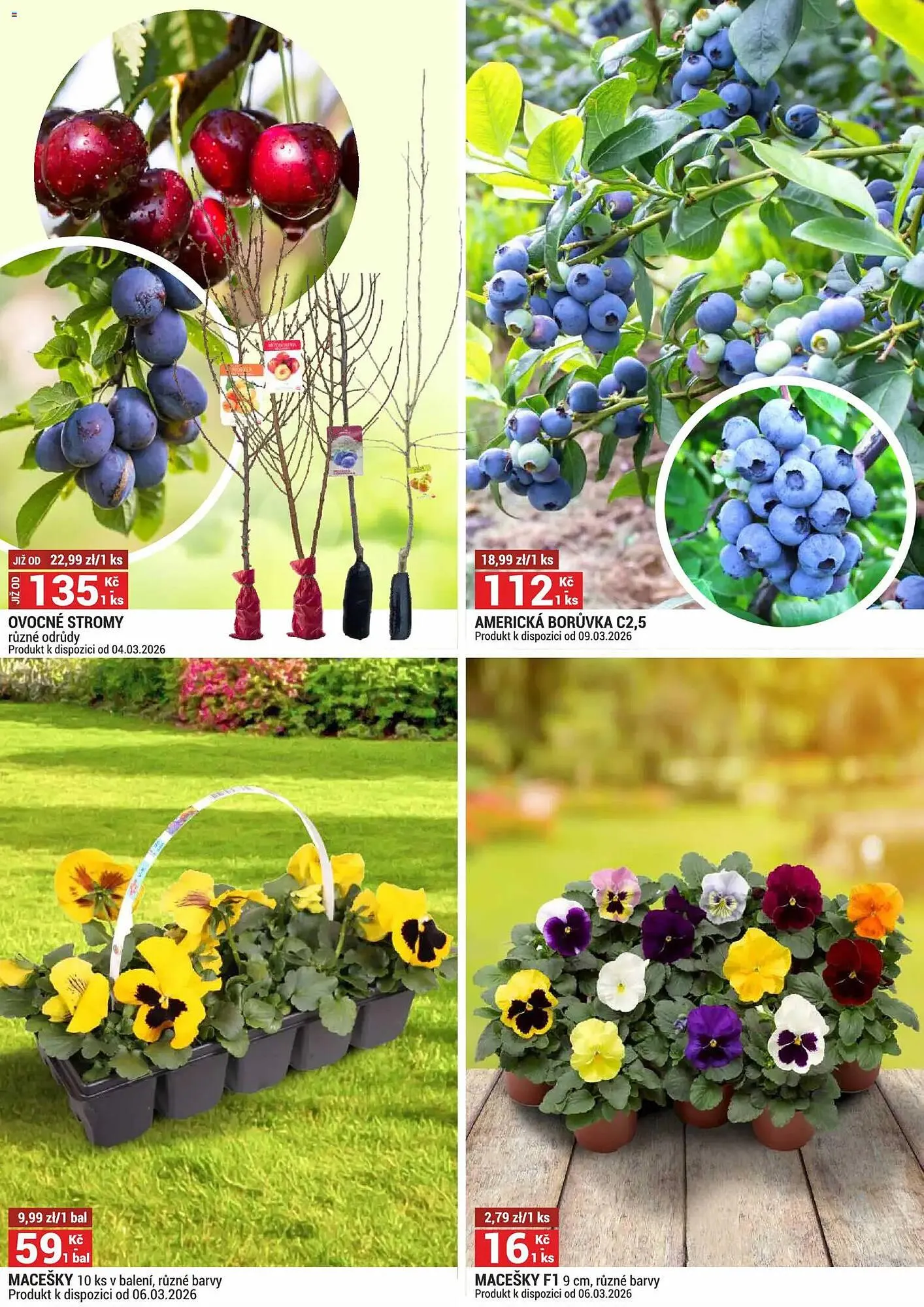 Merkury Market leták - 1. března 31. března 2026 - Page 5