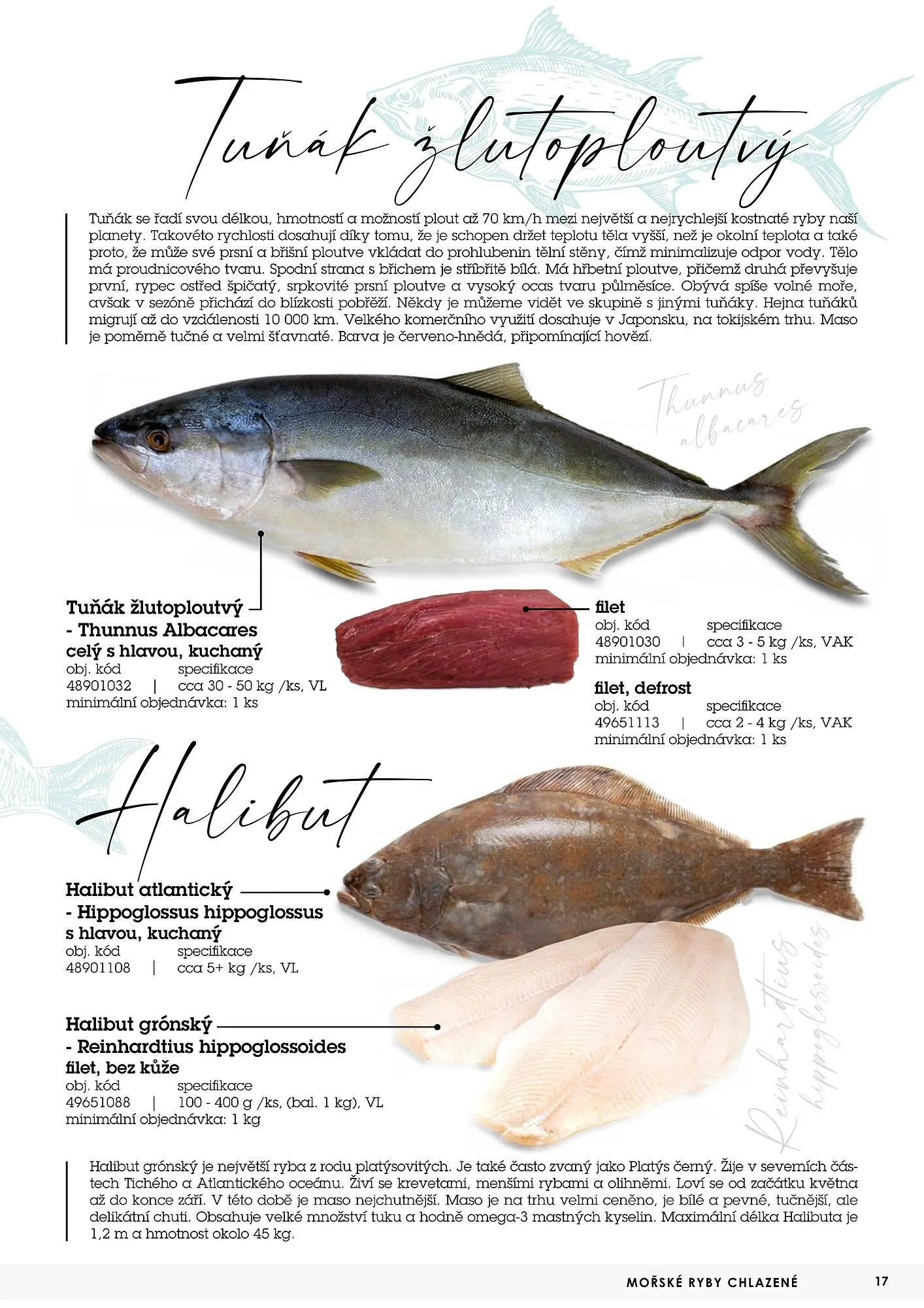 Jip RYBY leták - 22. května 29. prosince 2023 - Page 17