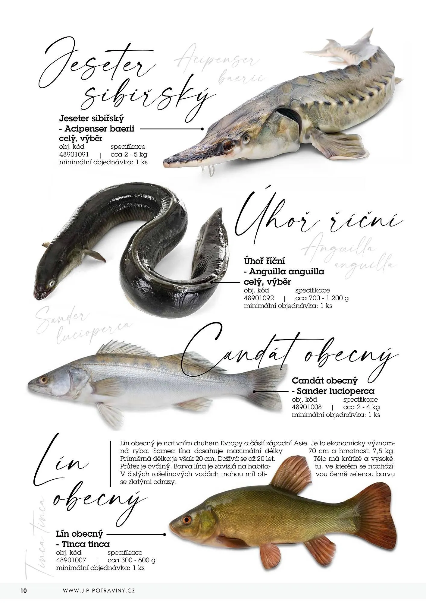 Jip RYBY leták - 22. května 29. prosince 2023 - Page 10