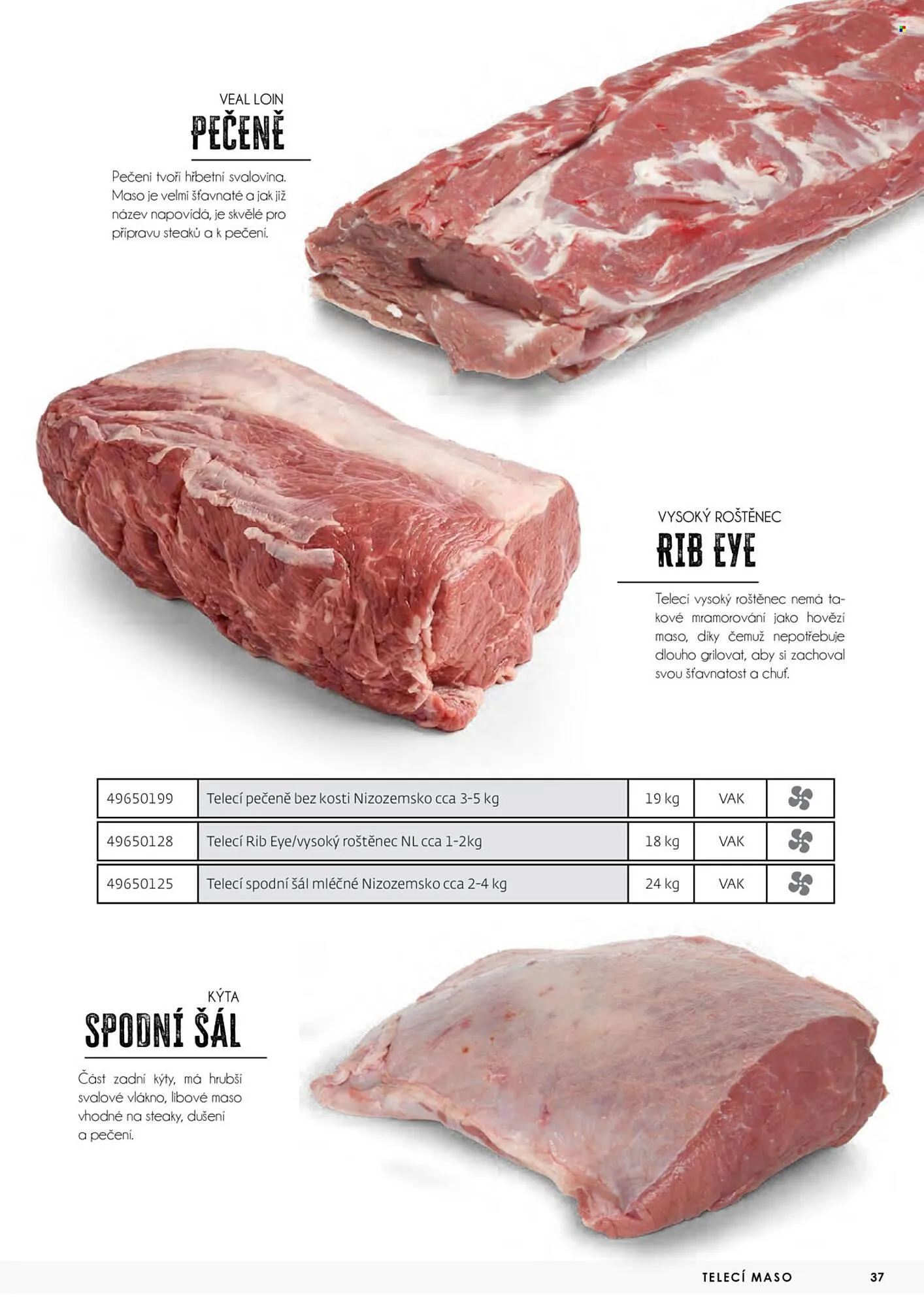 Jip leták - 23. dubna 31. prosince 2026 - Page 37