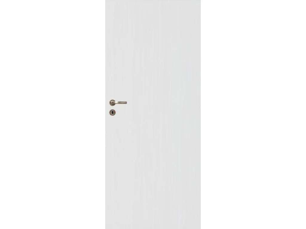 Dveře STANDARD 10 BÍLÉ