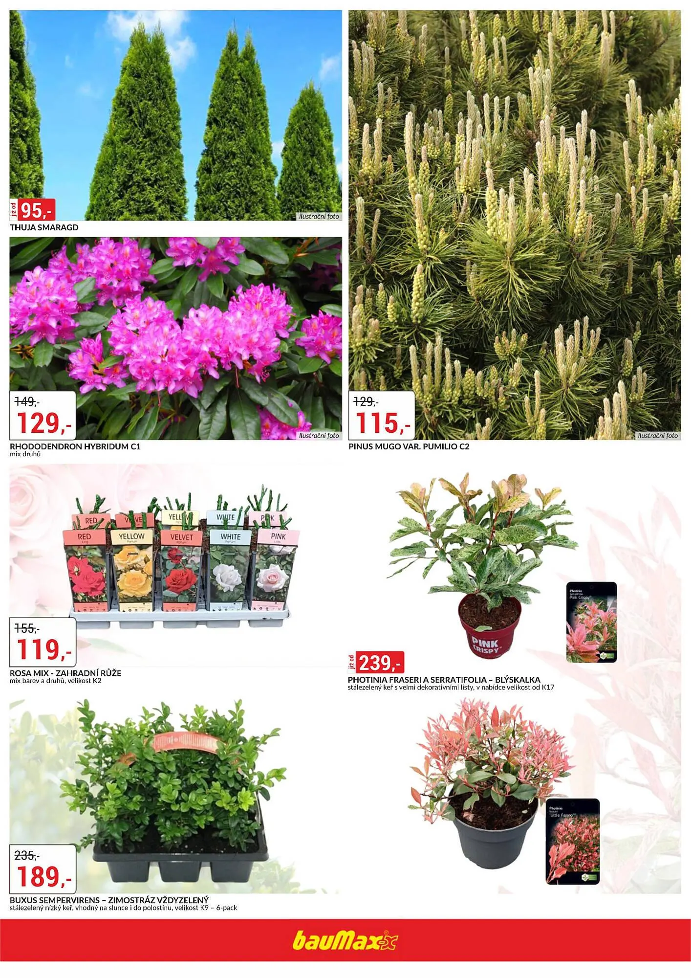 Baumax leták - 12. března 31. března 2026 - Page 2