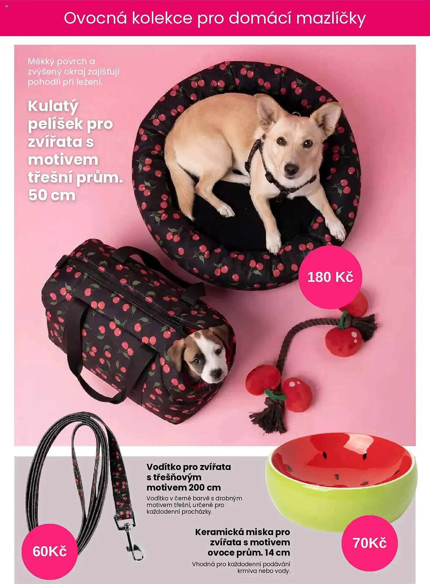 Pepco leták - 30. dubna 6. května 2026 - Page 3