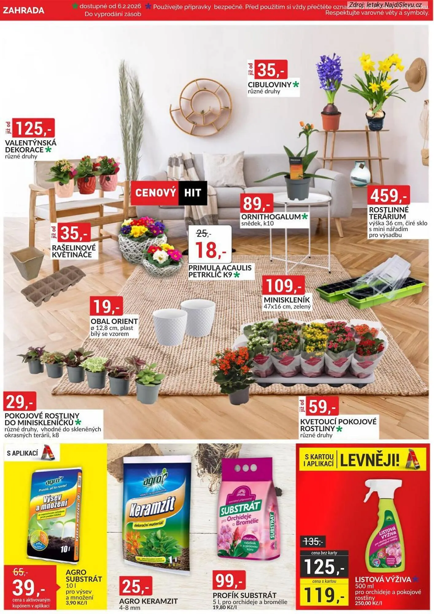 Baumax leták - 1. února 28. února 2026 - Page 42