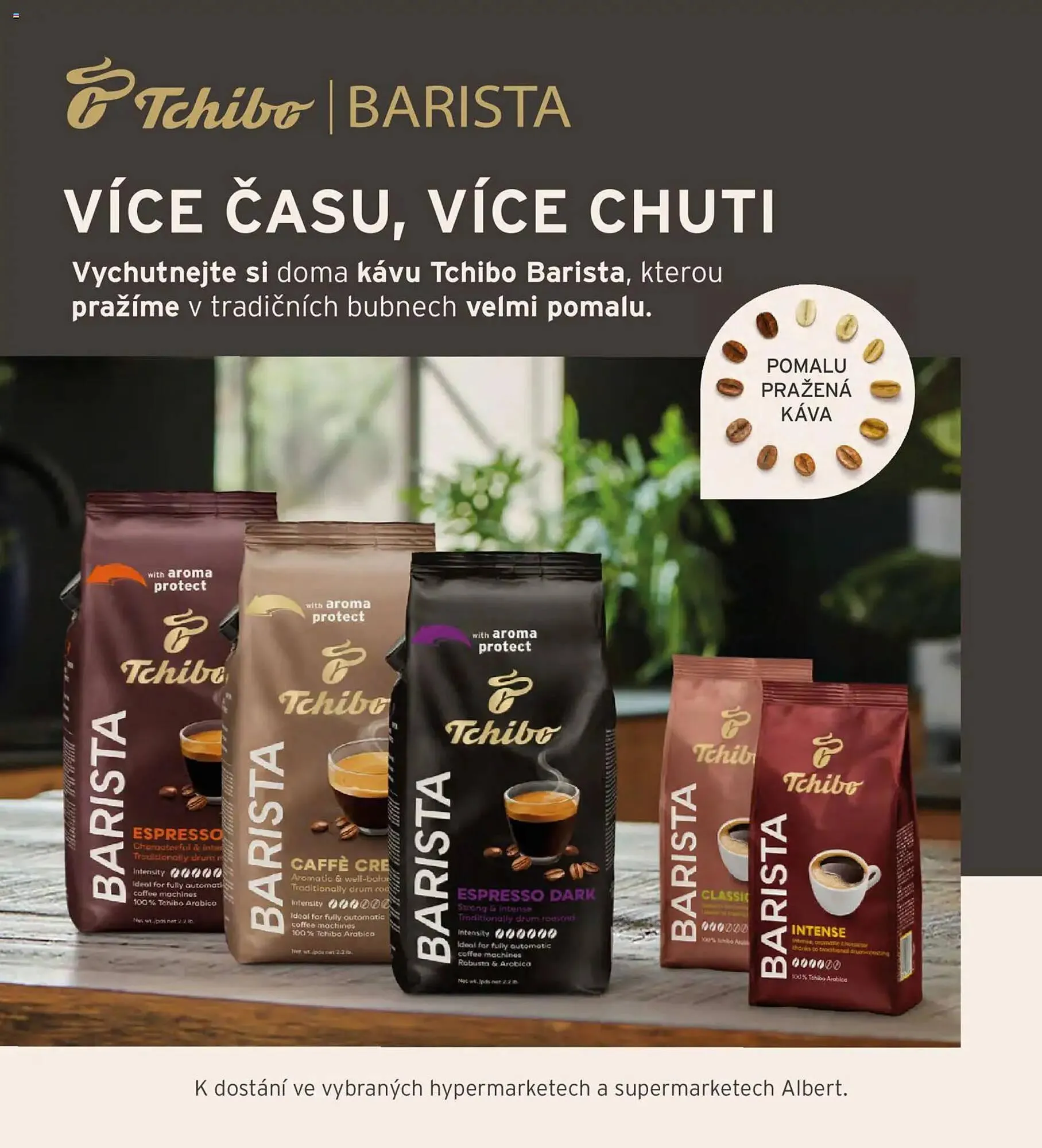 Albert leták - 1. února 28. února 2026 - Page 63