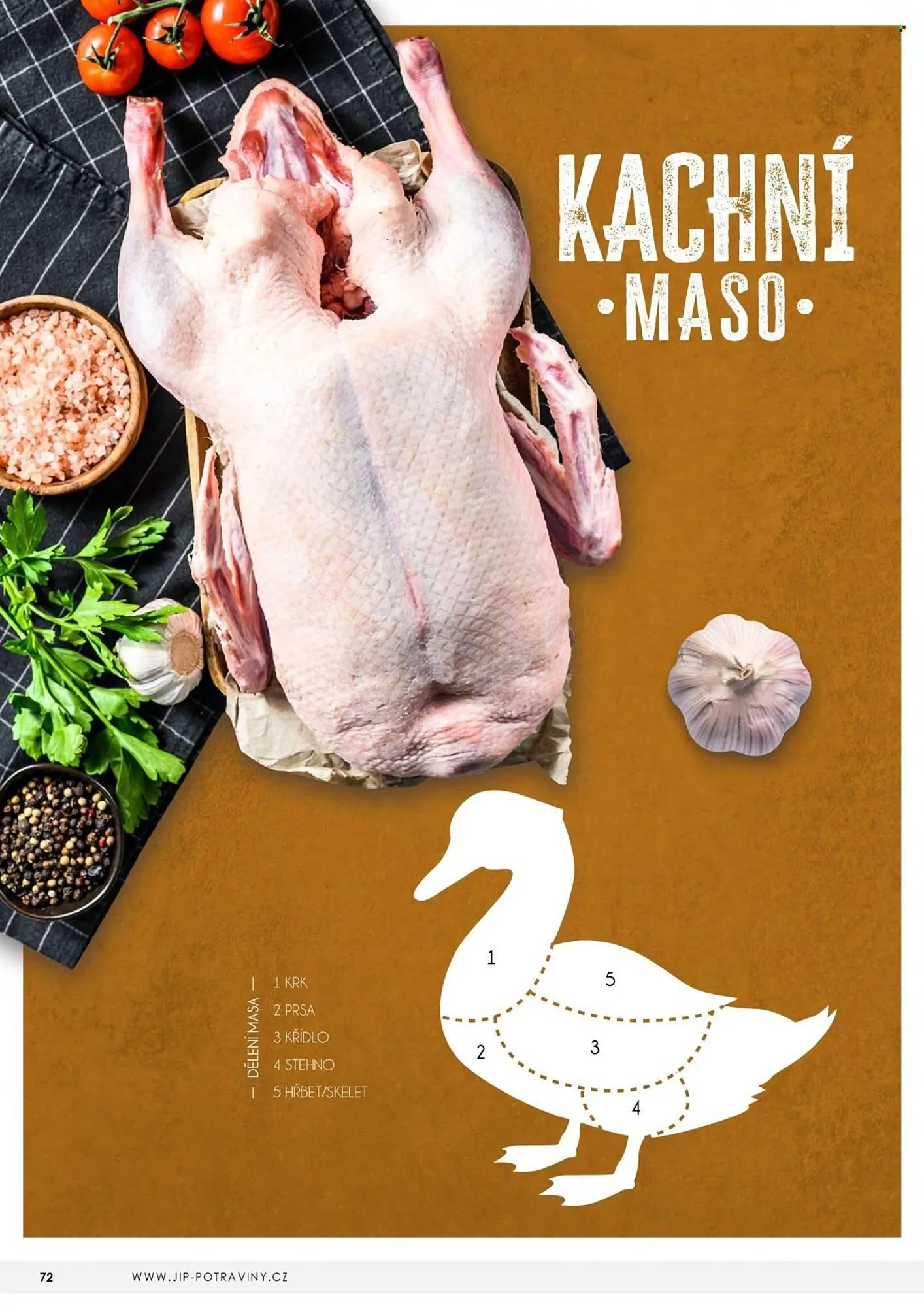 Jip leták - 23. dubna 31. prosince 2026 - Page 72