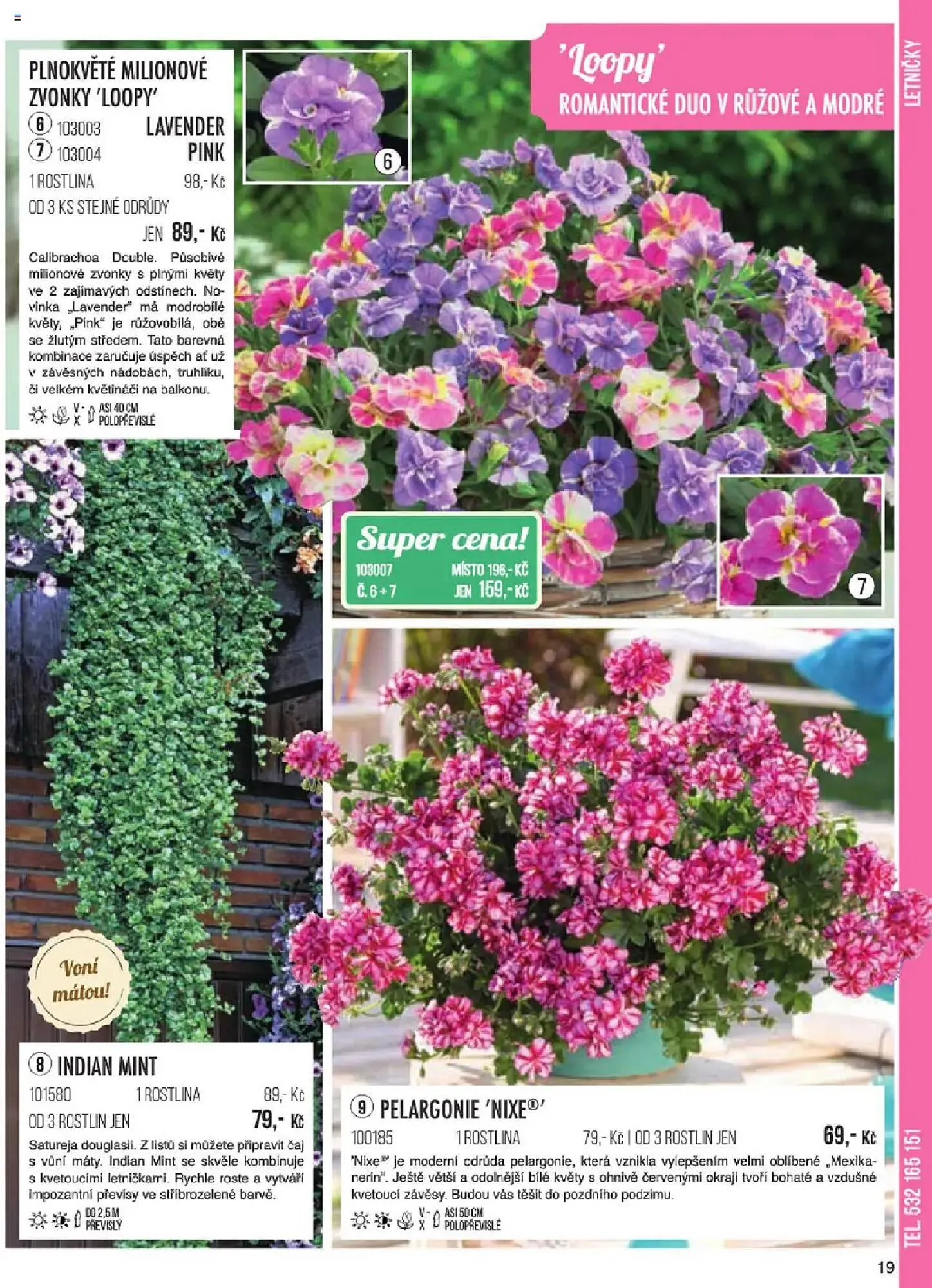 Starkl leták - 6. ledna 31. května 2025 - Page 19