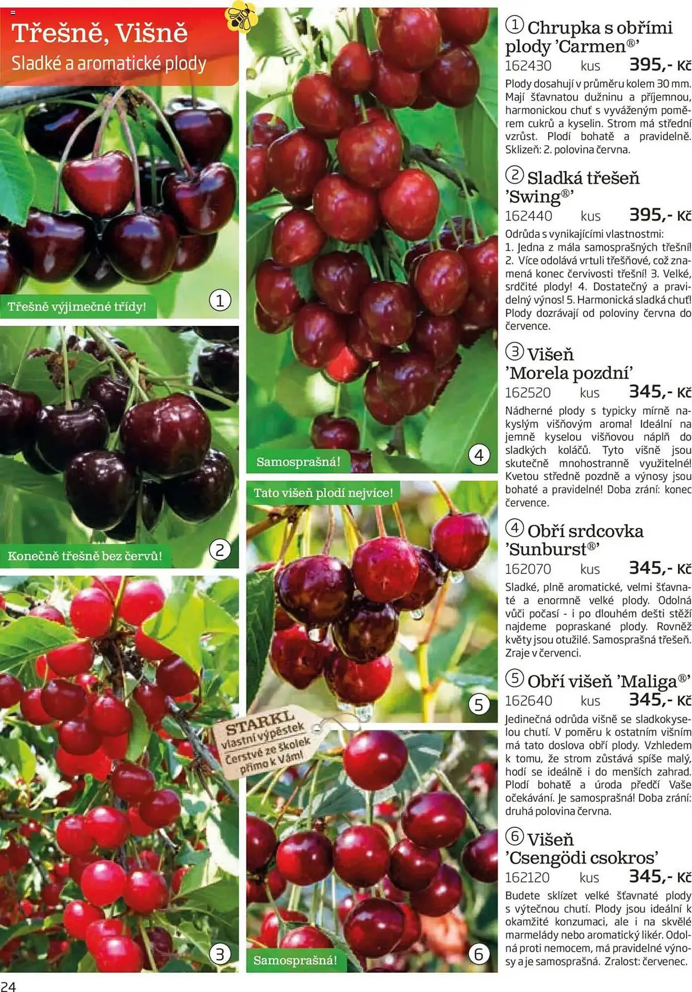 Starkl leták - 1. srpna 30. listopadu 2025 - Page 24
