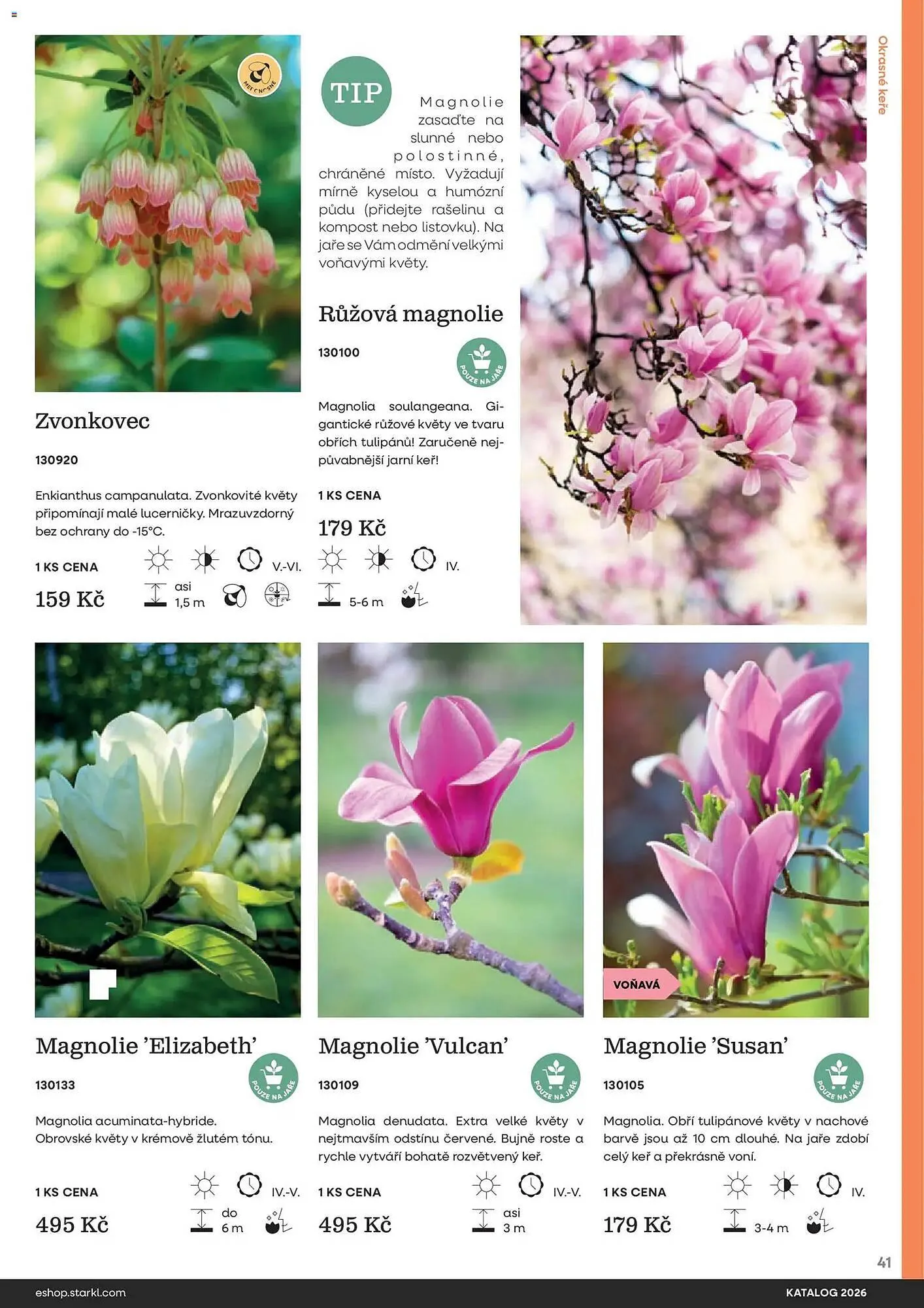 Starkl katalog - 25. února 31. prosince 2026 - Page 41