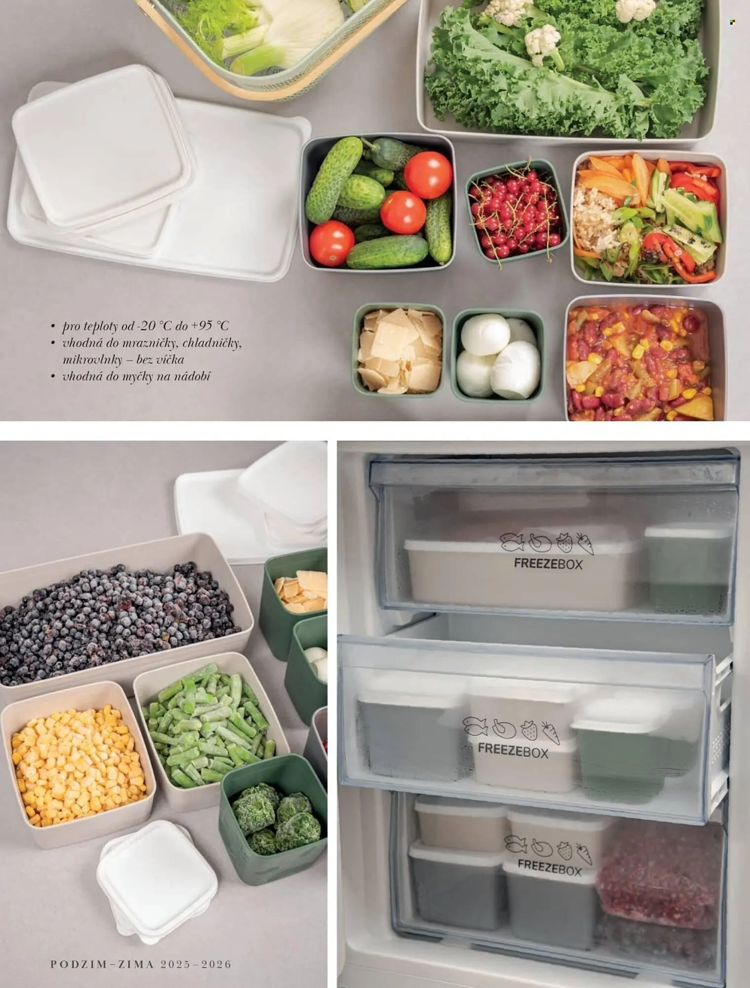 Orion leták - 23. září 28. února 2026 - Page 7