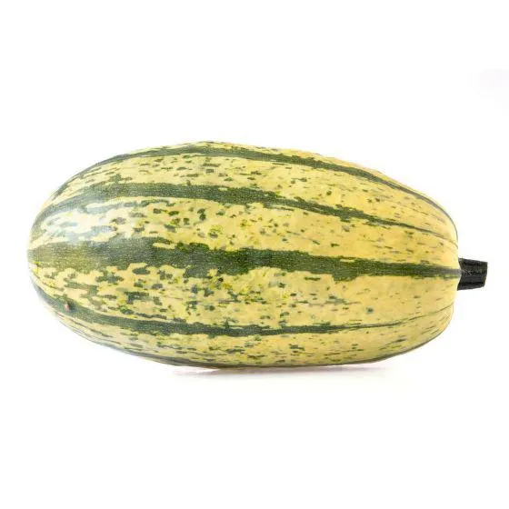 Dýně „Špagetová" BIO (ks) /CZ/