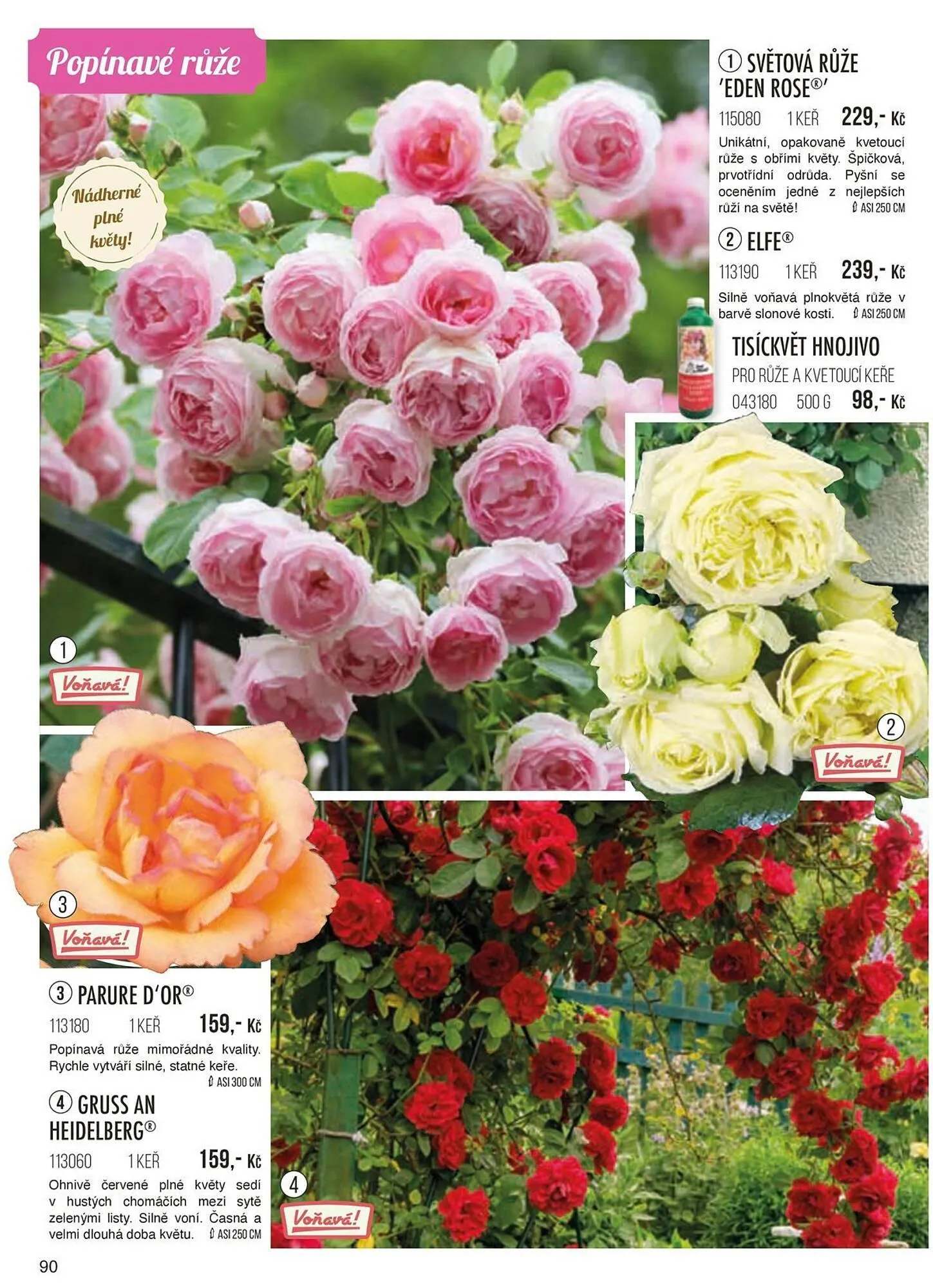 Starkl leták - 1. září 30. listopadu 2024 - Page 90