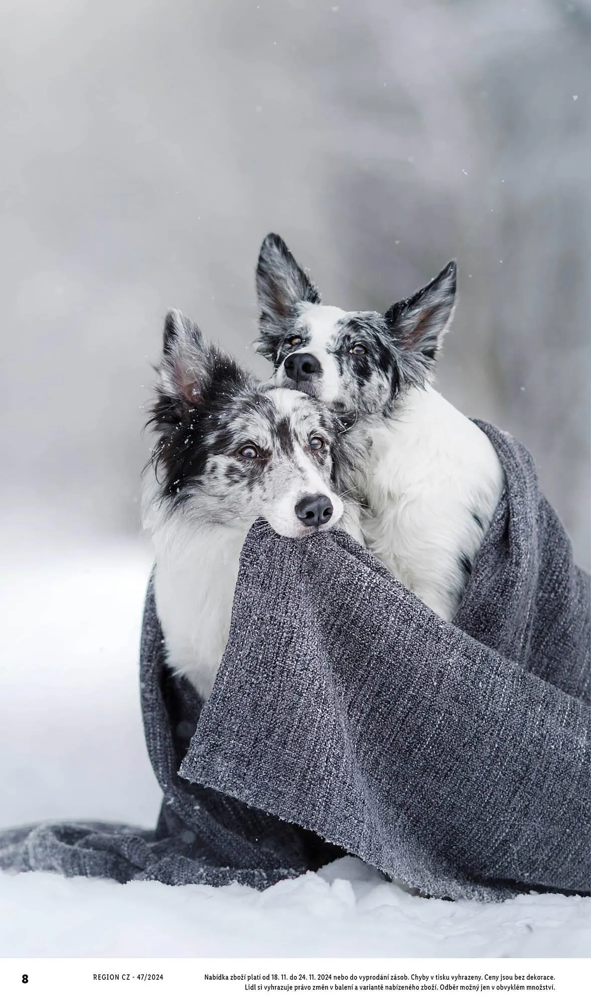 Lidl leták - 18. listopadu 24. listopadu 2024 - Page 8