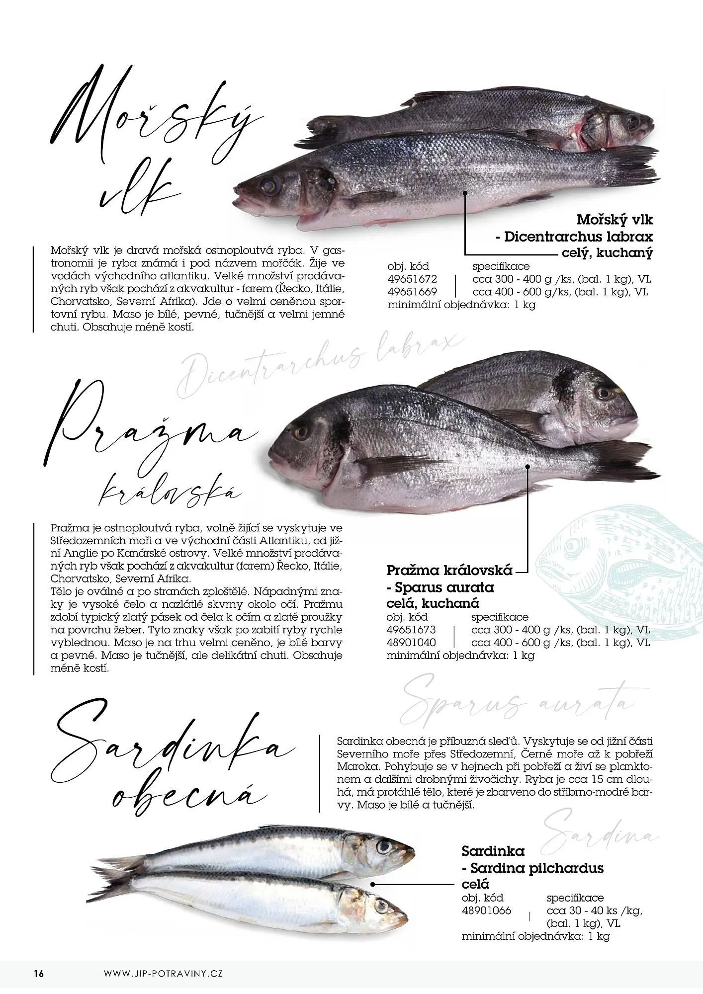 Jip RYBY leták - 22. května 29. prosince 2023 - Page 16