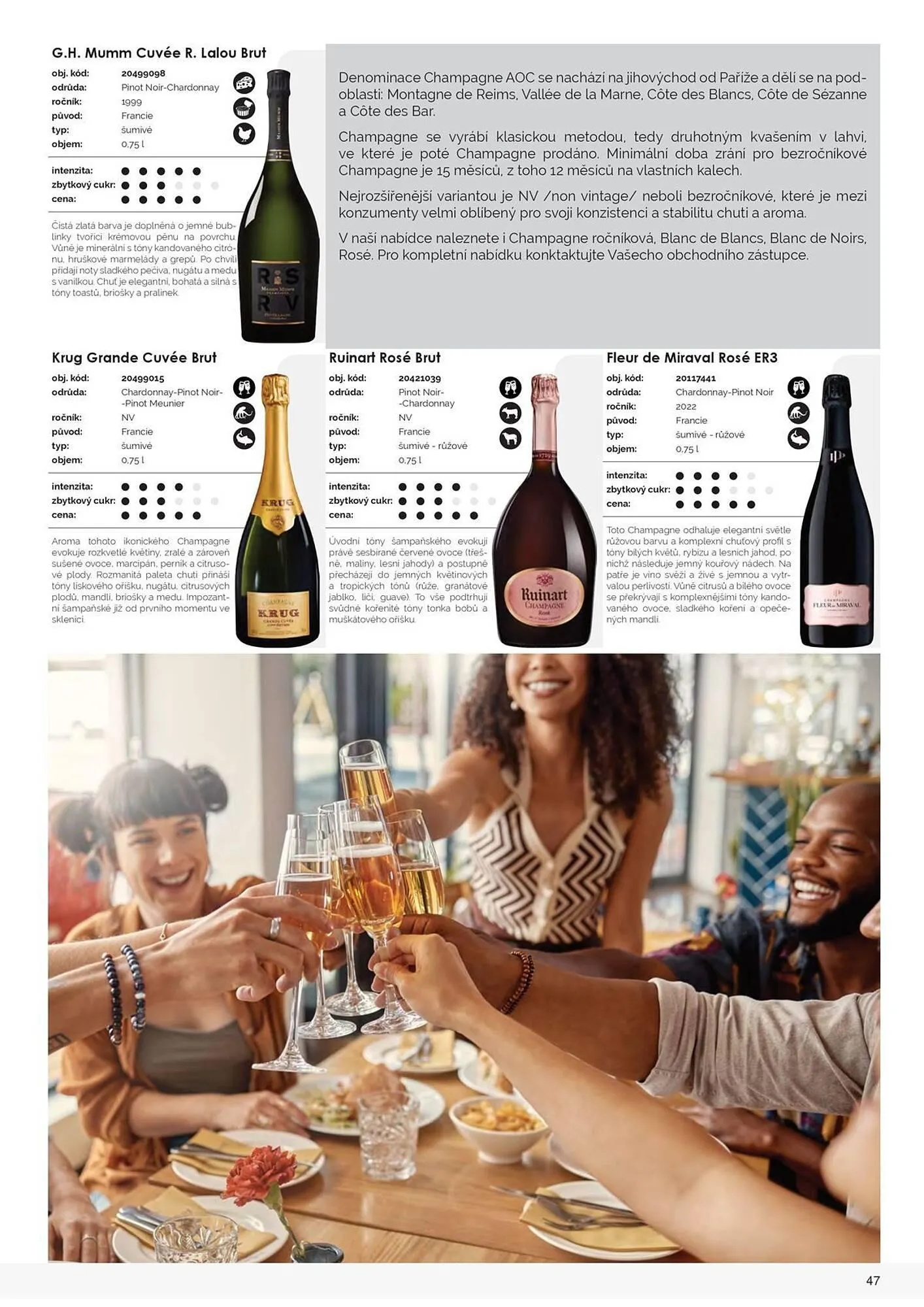 Jip leták - 9. března 31. prosince 2025 - Page 49