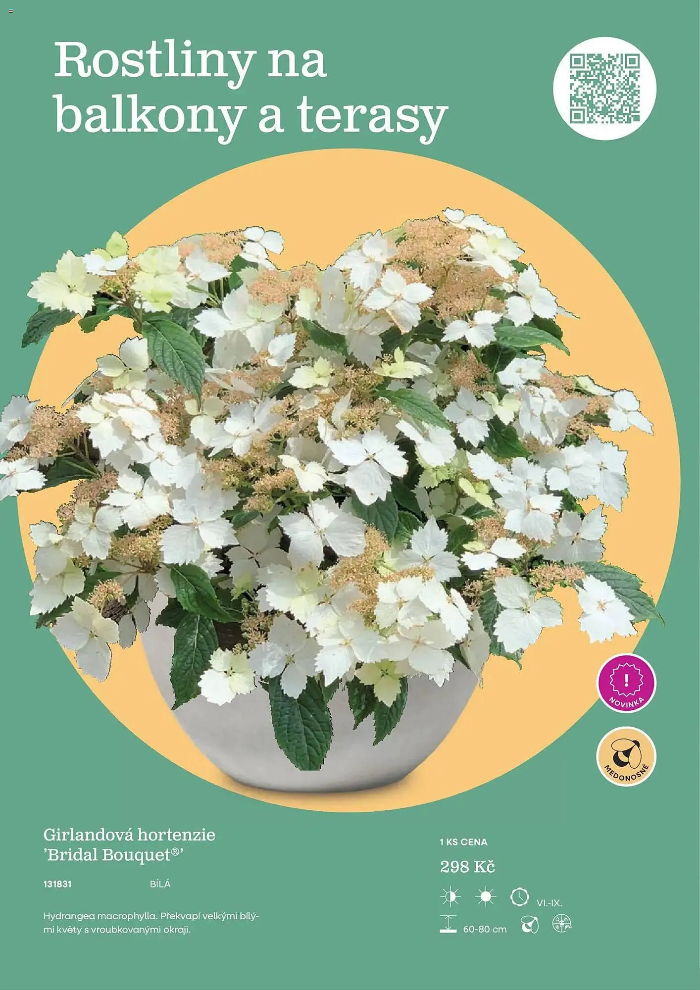 Starkl katalog - 25. února 31. prosince 2026 - Page 7