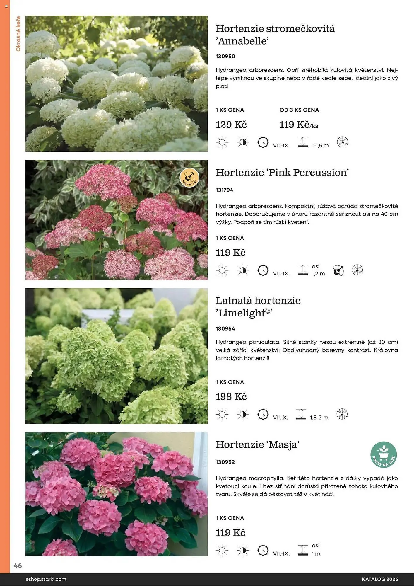 Starkl katalog - 25. února 31. prosince 2026 - Page 46