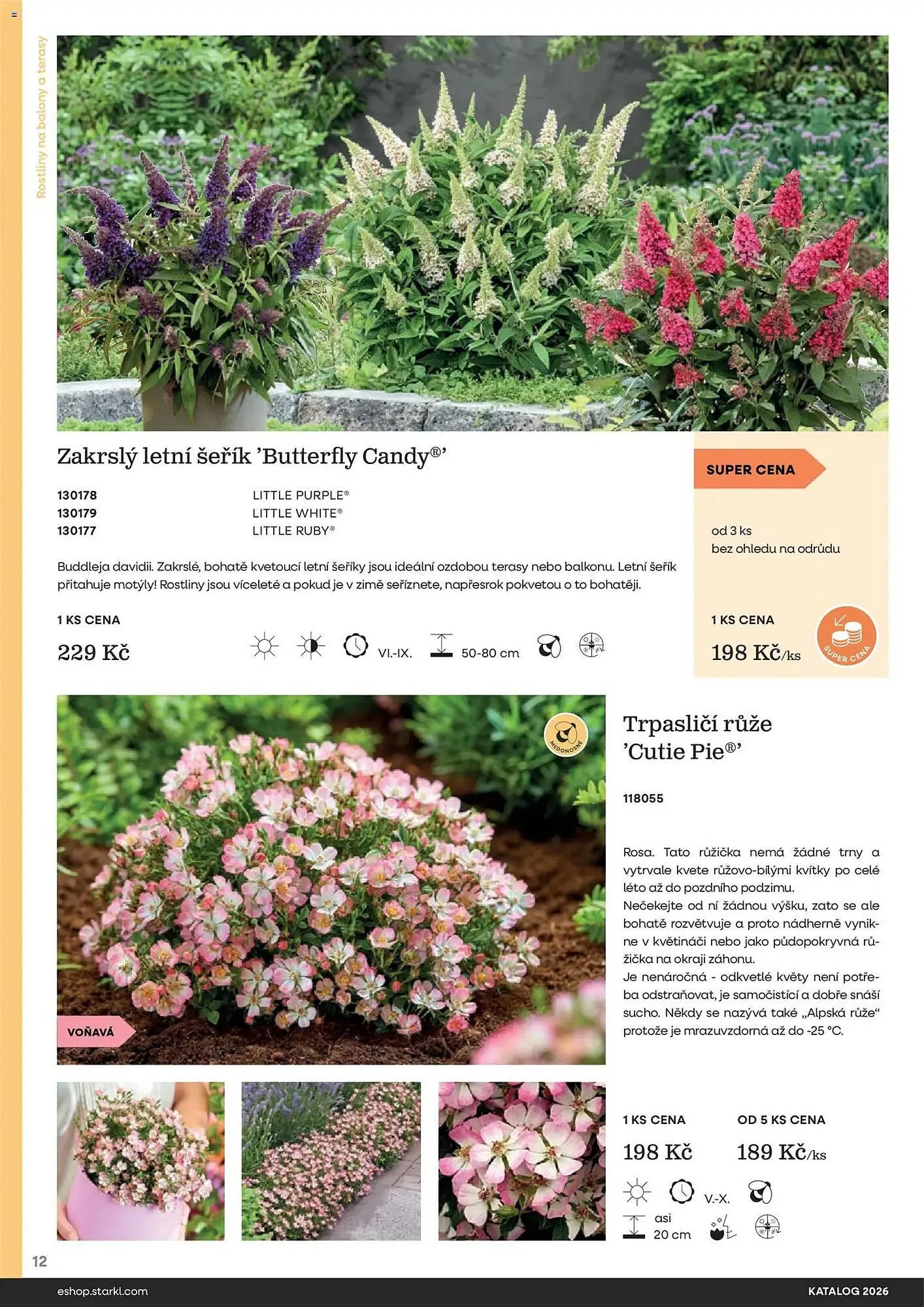 Starkl katalog - 25. února 31. prosince 2026 - Page 12