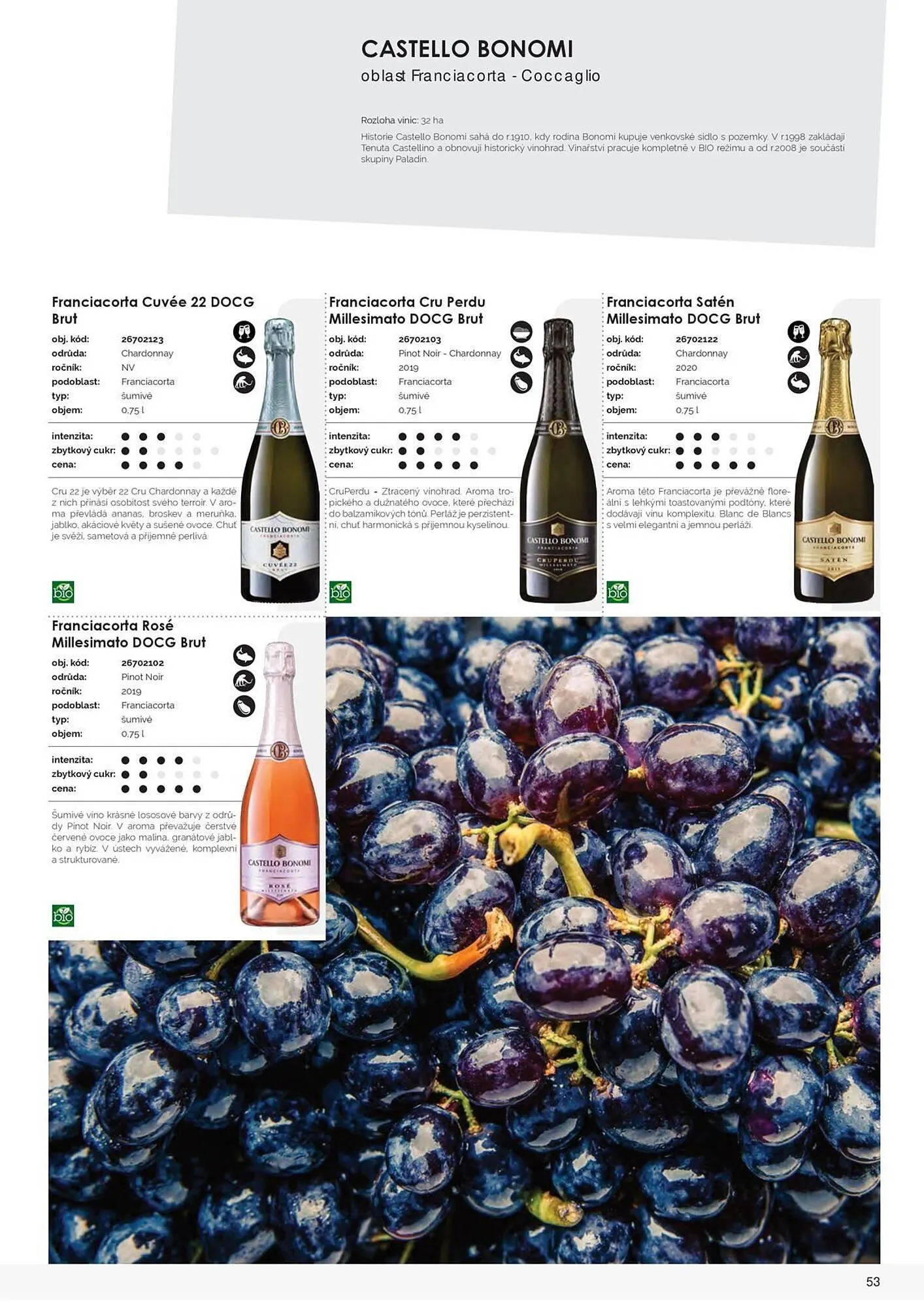 Jip leták - 9. března 31. prosince 2025 - Page 55