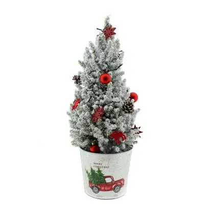 Dekorativní smrk sivý (Picea glauca) v bílém zinkovém květináči, pr. 19 cm