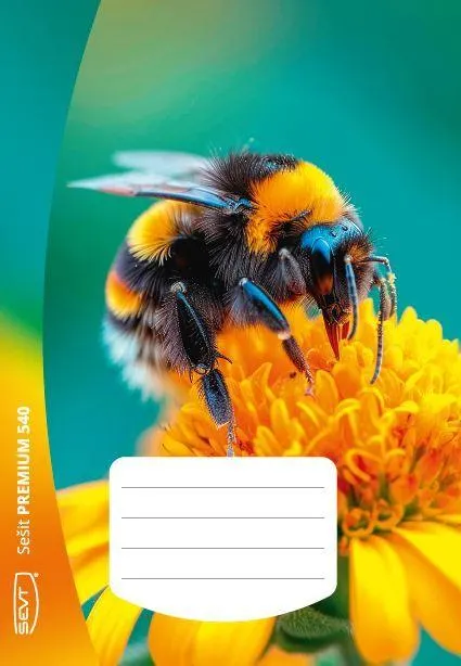 SEVT Sešit Premium 540, A5 40 l. nelinkovaný