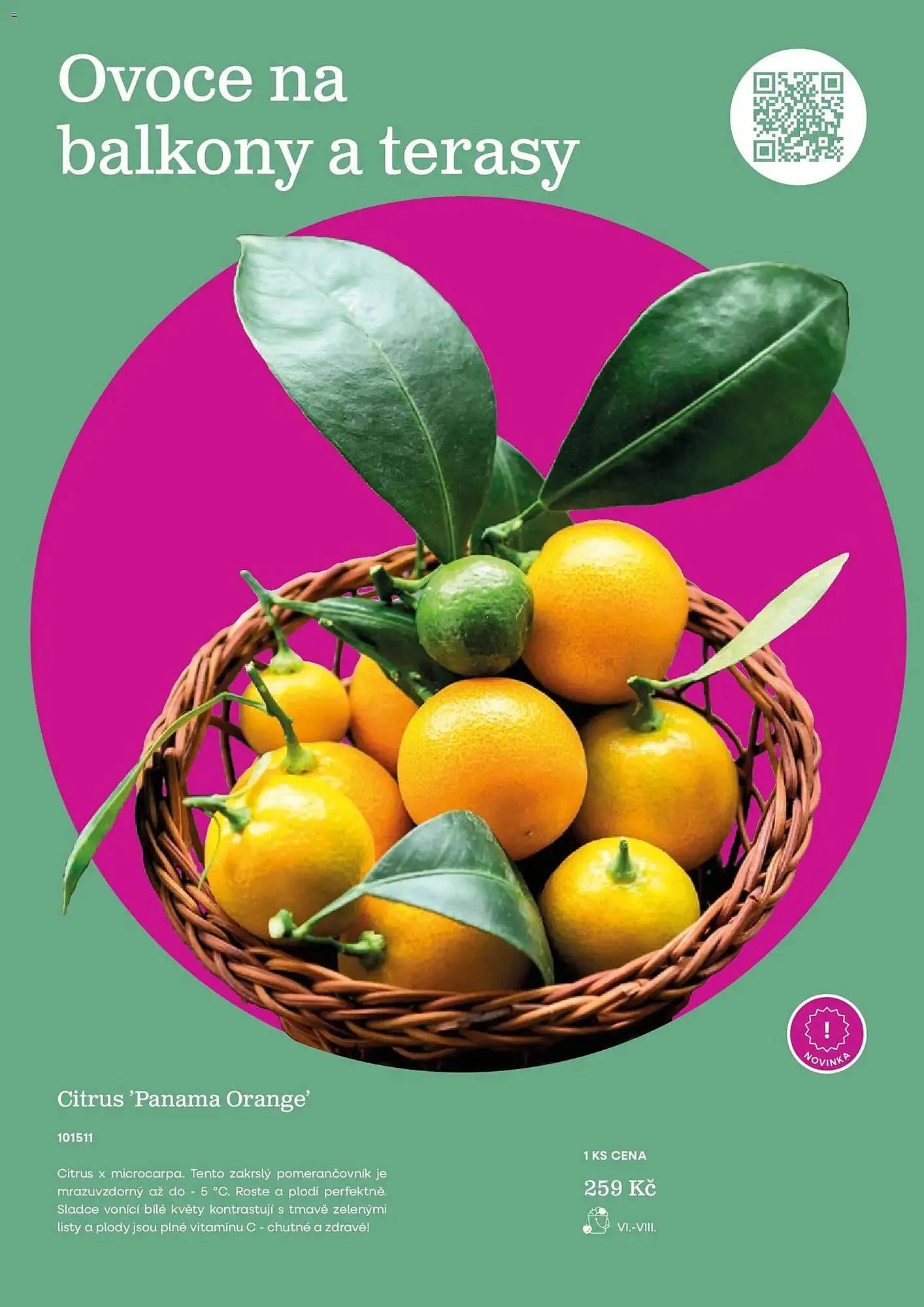 Starkl katalog - 25. února 31. května 2026 - Page 39