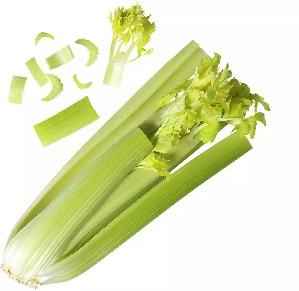 BIO - Celer řapíkatý