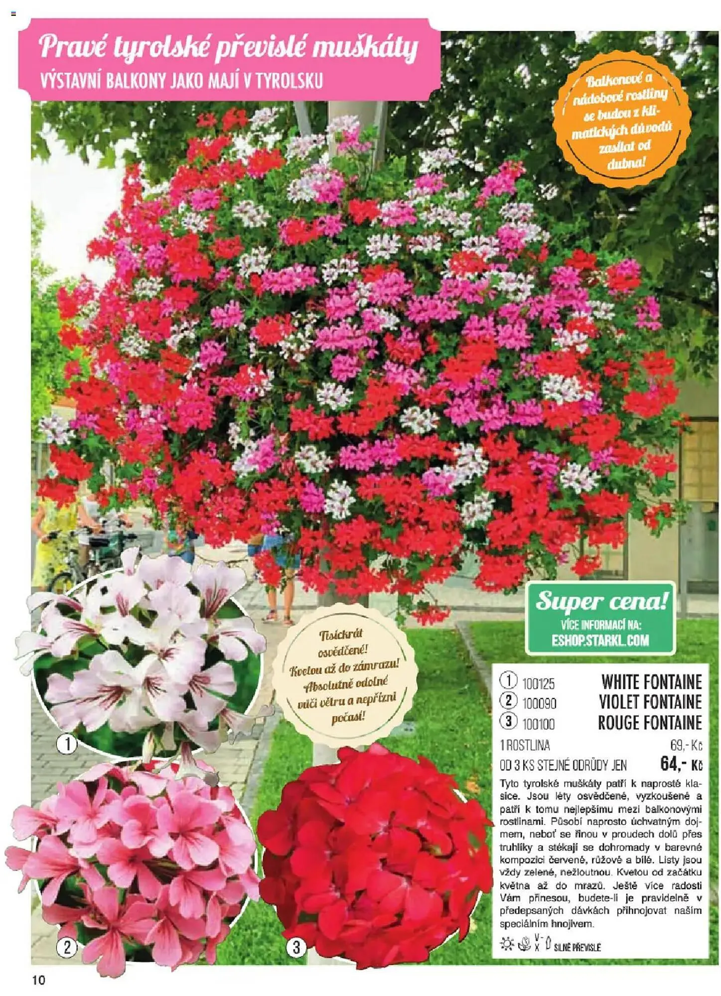 Starkl leták - 6. ledna 31. května 2025 - Page 10