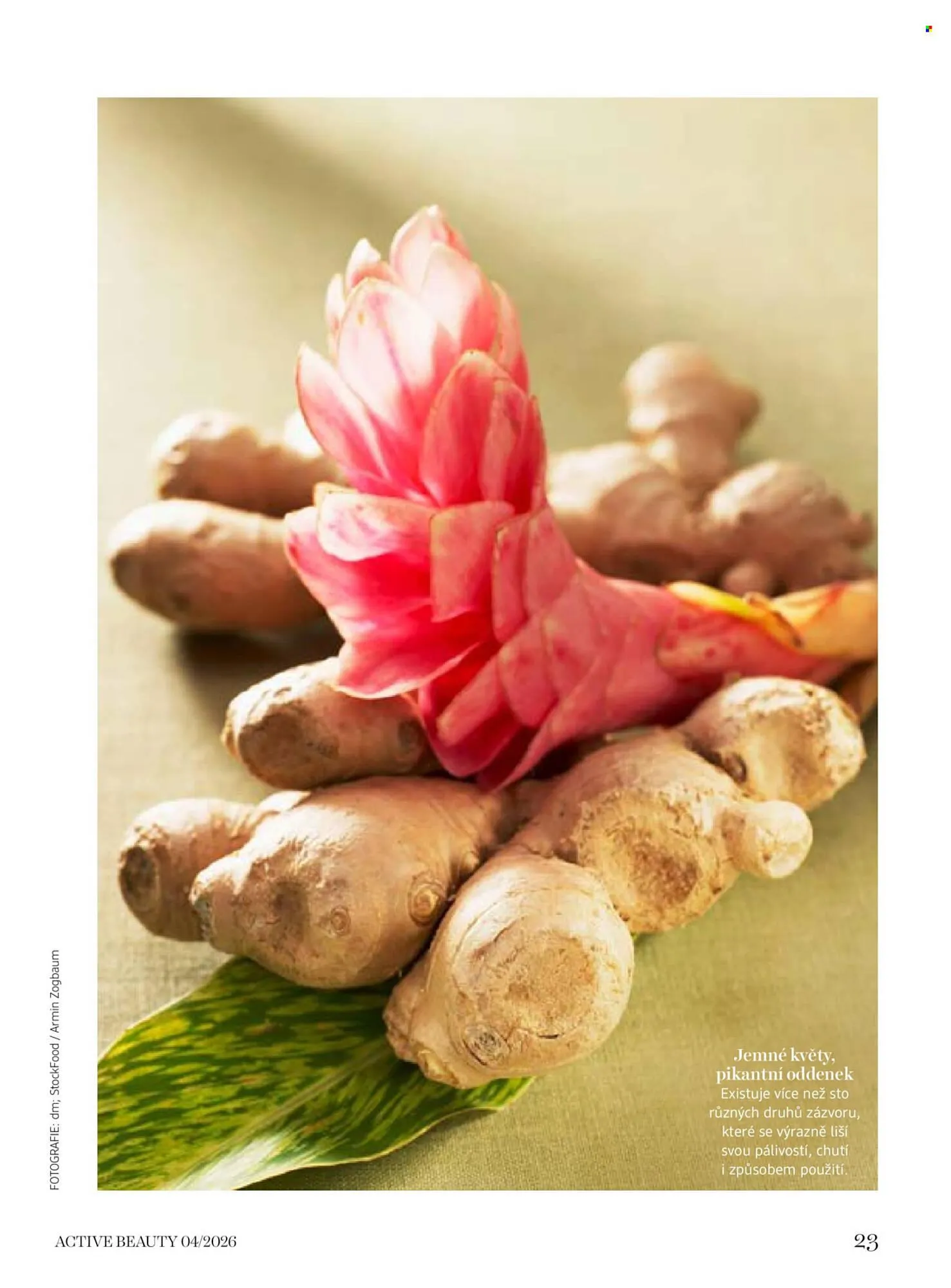 Dm drogerie leták - 10. dubna 6. května 2026 - Page 23