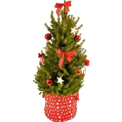 Vánoční stromeček ozdobený Smrk sivý v květináči a dekorativní tašce pr. 20,5 cm