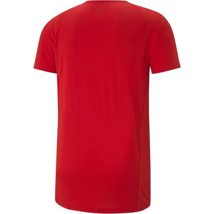 EVOSTRIPE TEE
