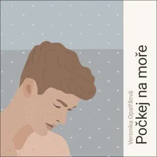 Počkej na moře Audiokniha (CD)