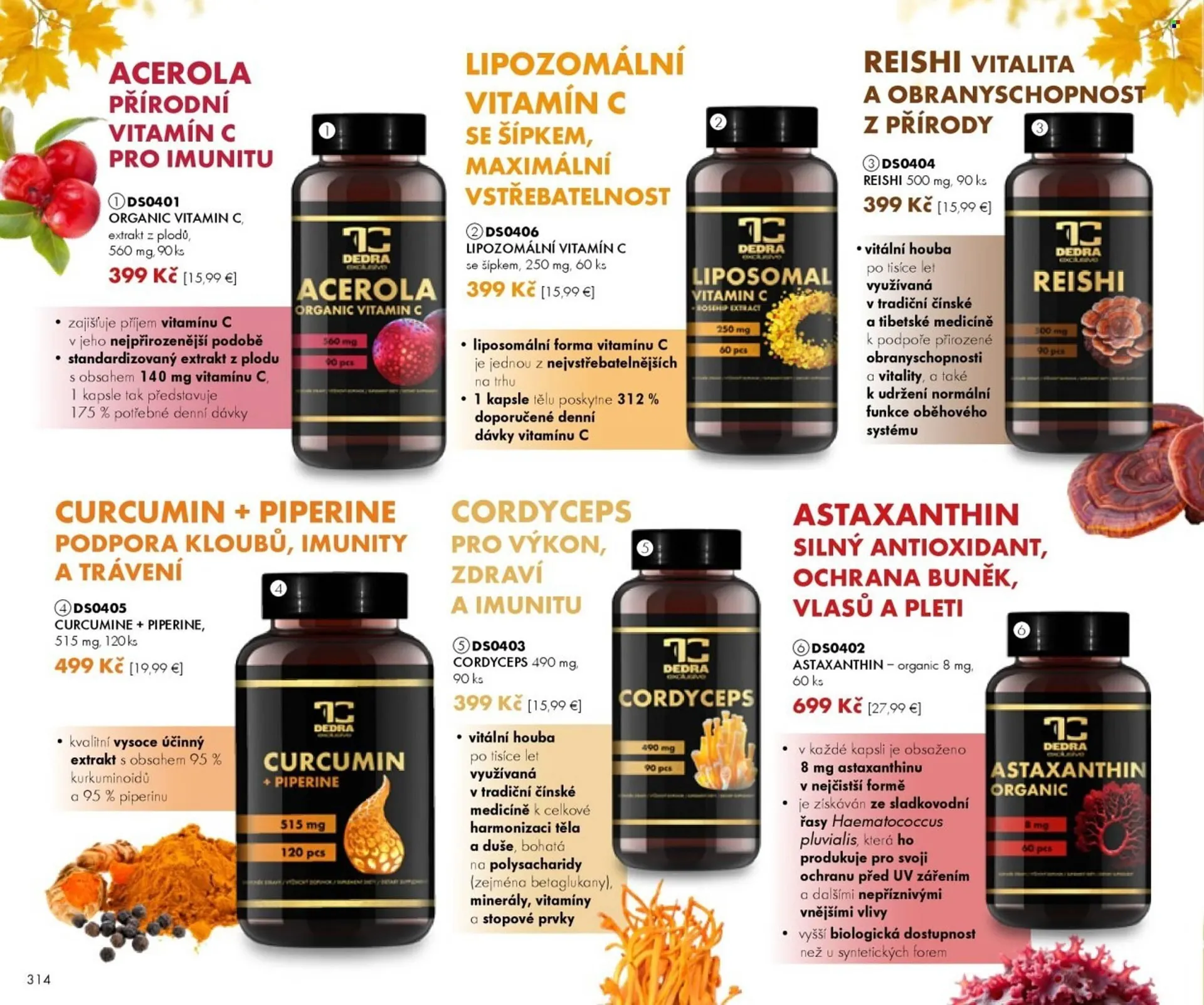 Dedra leták - 1. září 21. listopadu 2025 - Page 14