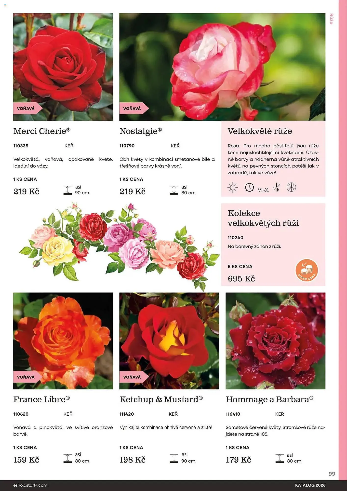 Starkl katalog - 25. února 31. prosince 2026 - Page 99