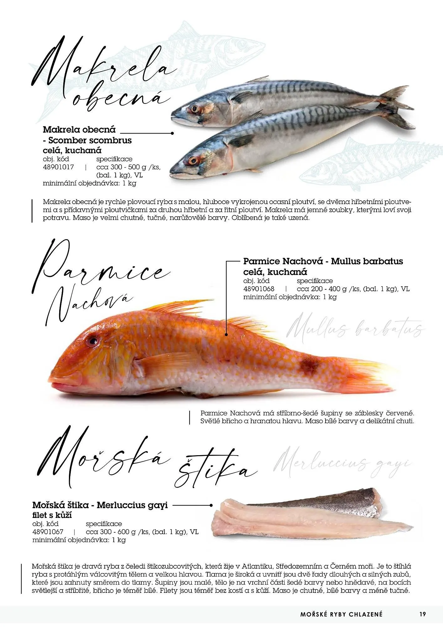 Jip RYBY leták - 22. května 29. prosince 2023 - Page 19