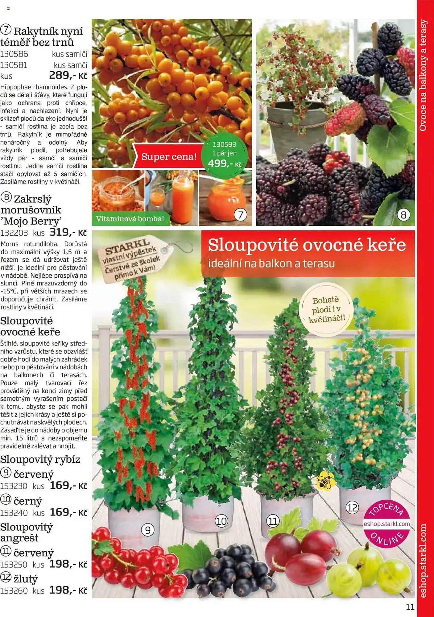 Starkl leták - 1. srpna 30. listopadu 2025 - Page 11