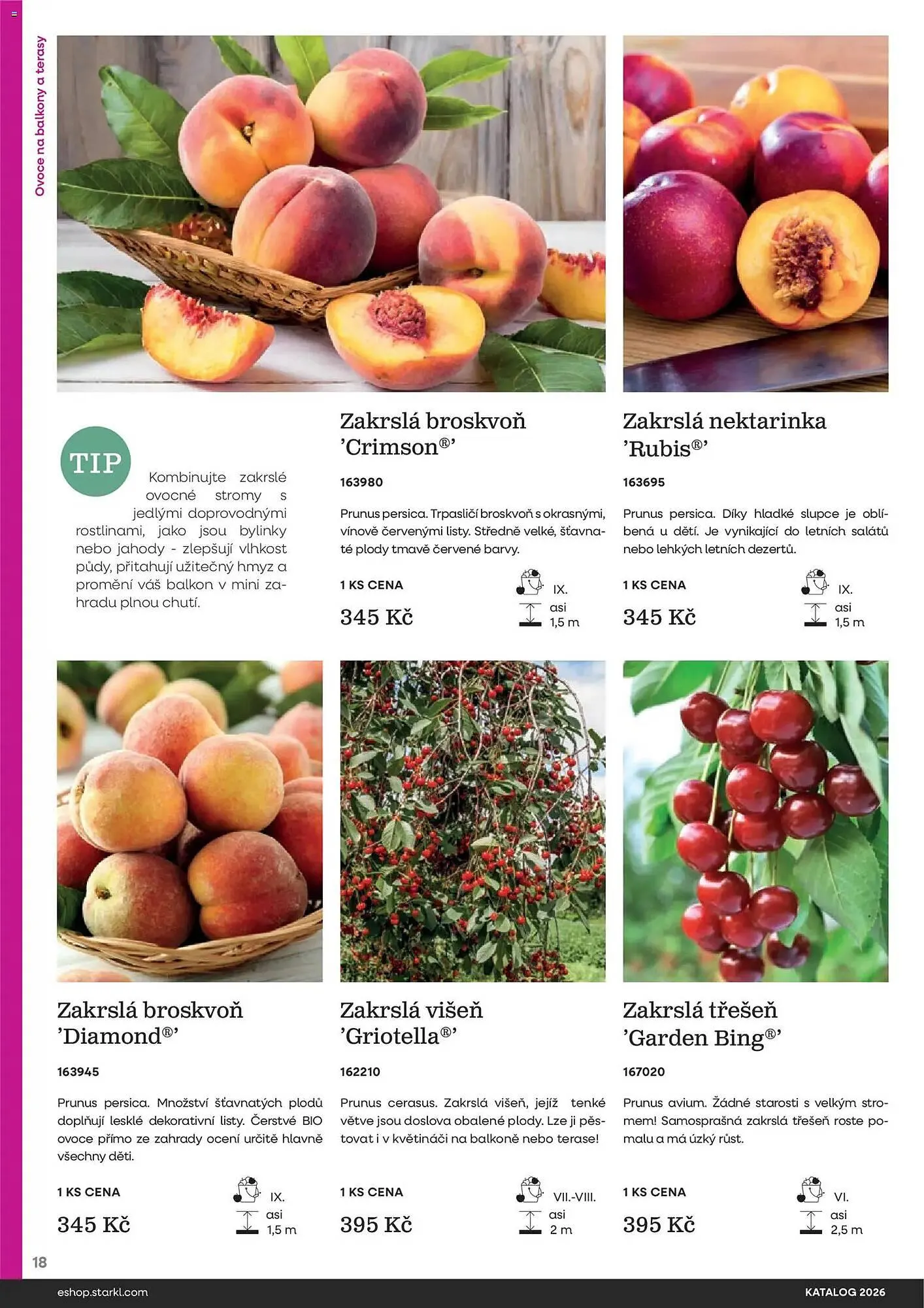 Starkl katalog - 25. února 31. prosince 2026 - Page 18
