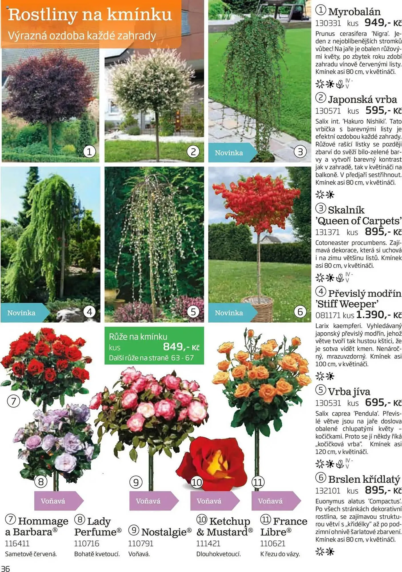 Starkl leták - 1. srpna 30. listopadu 2025 - Page 36