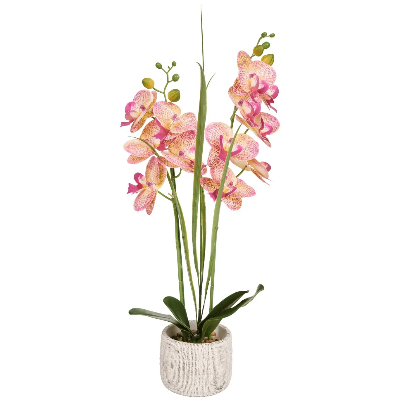 Orchidea finta in vaso