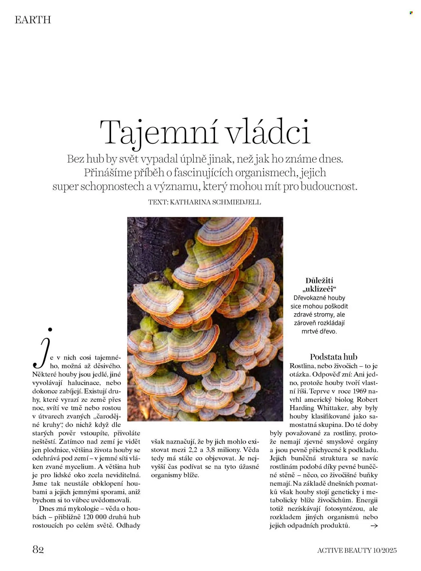 Dm drogerie leták - 10. října 6. listopadu 2025 - Page 82